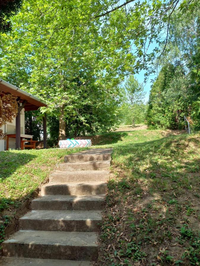 Helena Apartman Cserszegtomaj Zewnętrze zdjęcie